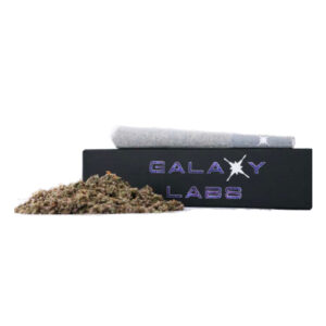 Gary Payton PreRoll