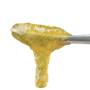 Kush Mints Live Rosin Jam